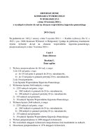 040804_Dobrzyn_Rady.pdf