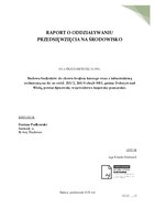 Raport_Dariusz_Podkowski.pdf